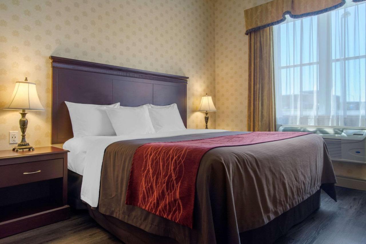 Comfort Inn & Suites Lévis Esterno foto