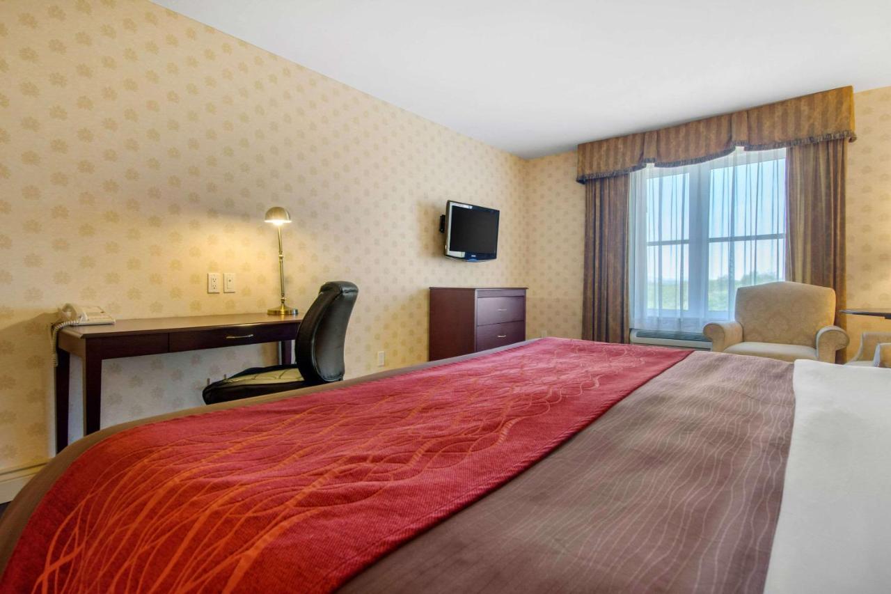 Comfort Inn & Suites Lévis Esterno foto