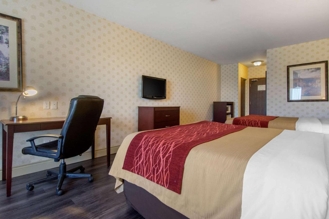 Comfort Inn & Suites Lévis Esterno foto